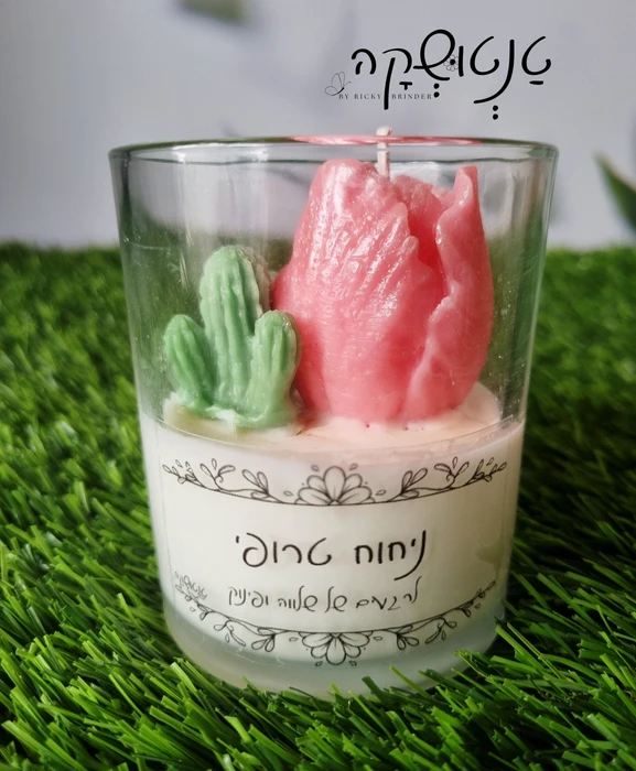 ๐ฏ๏ธ ื ืจ ืืืืืจื ืืืืก ืืืืืืช โ ืขืืฆืื ืืจืืคื ืขื ื ืืืื ืืจืขื ื