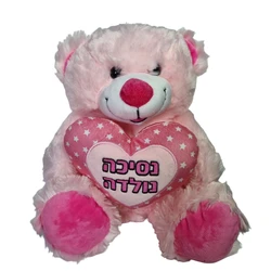 🧸 דובי ורוד "נסיכה נולדה"